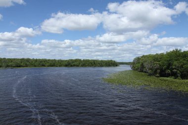 Kara koy nehir Florida Clay County