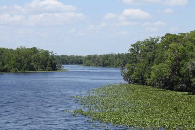 Kara koy nehir Florida Clay County