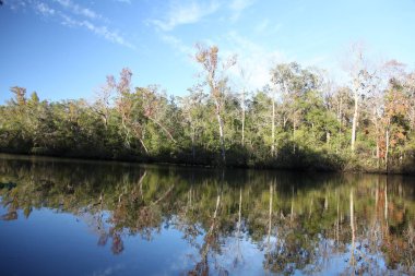 Kara koy nehir Florida Clay County