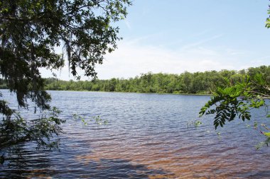 Kara koy nehir Florida Clay County