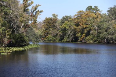 Kara koy nehir Florida Clay County