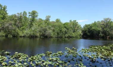 Kara koy nehir Florida Clay County