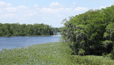 Kara koy nehir Florida Clay County