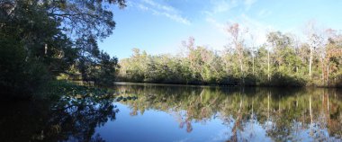 Kara koy nehir Florida Clay County