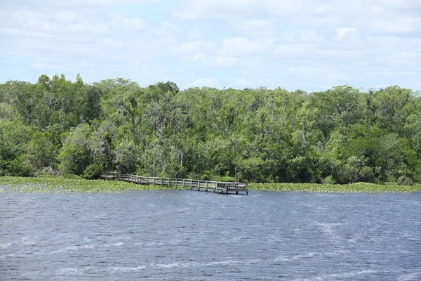 Rio Black Creek Condado Florida Clay — Fotografia de Stock