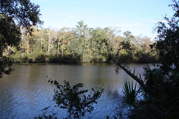 Rzeka Black Creek Hrabstwie Florida Clay — Zdjęcie stockowe