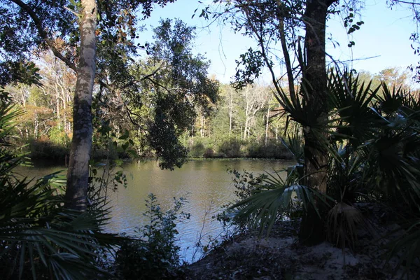 Rzeka Black Creek Hrabstwie Florida Clay — Zdjęcie stockowe