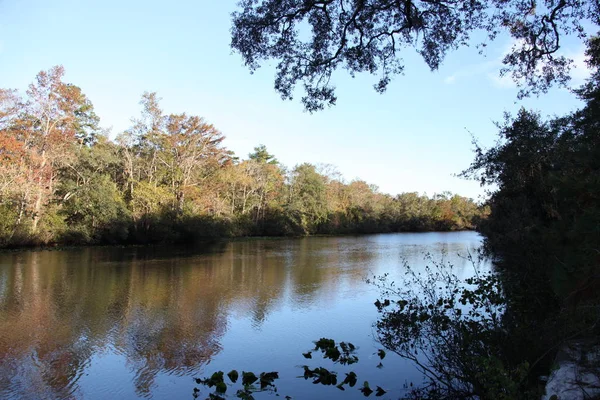 Μαύρη Creek Ποταμός Στη Φλόριντα Clay County — Φωτογραφία Αρχείου