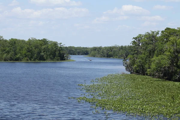 Río Black Creek Condado Florida Clay — Foto de Stock