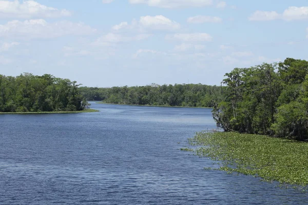 Rio Black Creek Condado Florida Clay — Fotografia de Stock