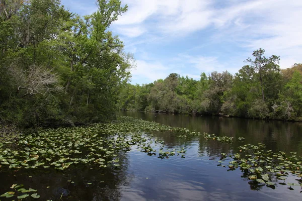 Río Black Creek Condado Florida Clay — Foto de Stock