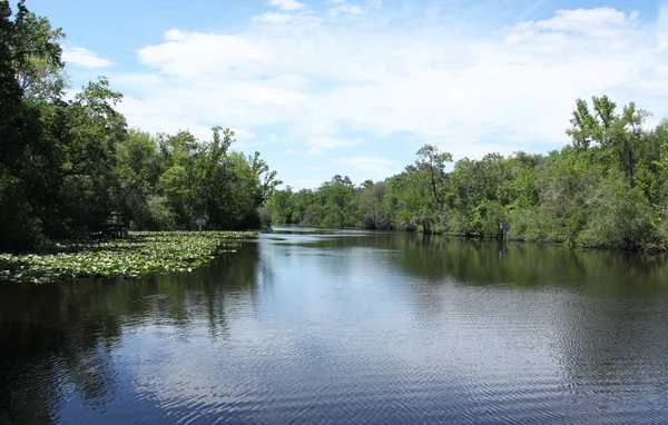 Rio Black Creek Condado Florida Clay — Fotografia de Stock