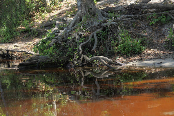 Река Блэк-Крик во Флориде
