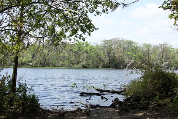 Rzeka Black Creek Hrabstwie Florida Clay — Zdjęcie stockowe