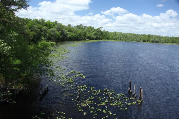 Kara Koy Nehir Florida Clay County — Stok fotoğraf