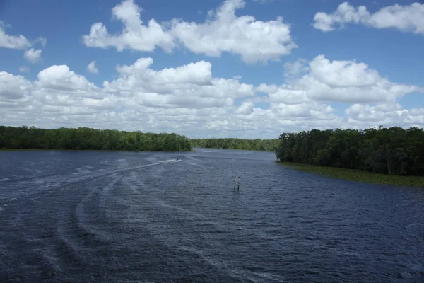 Black Creek Folyó Florida Clay Megyében — Stock Fotó