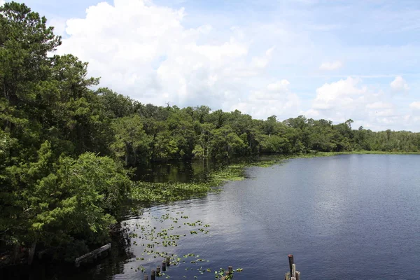 Black Creek Folyó Florida Clay Megyében — Stock Fotó