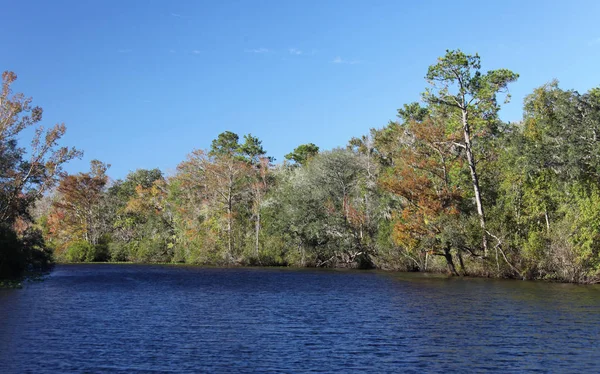 Black Creek River Florida Lehm County — Stockfoto