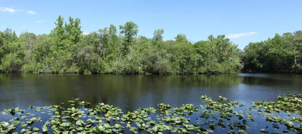 Río Black Creek Condado Florida Clay — Foto de Stock