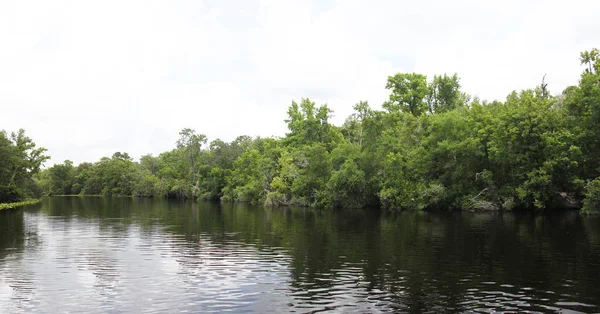 Râul Black Creek Din Comitatul Florida Clay — Fotografie, imagine de stoc