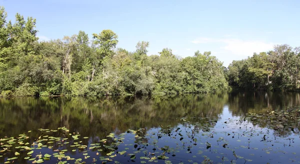 フロリダ州クレイ郡のブラック クリーク川 — ストック写真