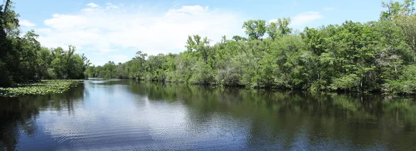 Rzeka Black Creek Hrabstwie Florida Clay — Zdjęcie stockowe