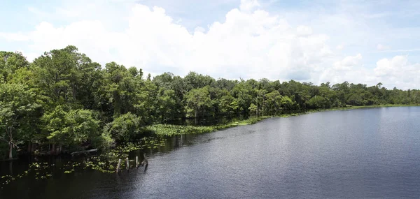 Black Creek River Florida Clay County — Stock Photo, Image