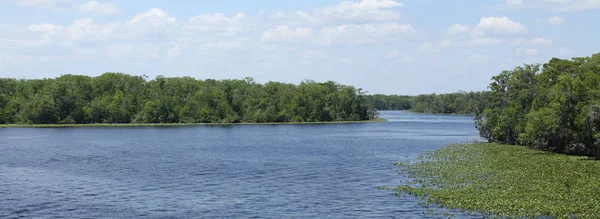 Río Black Creek Condado Florida Clay — Foto de Stock