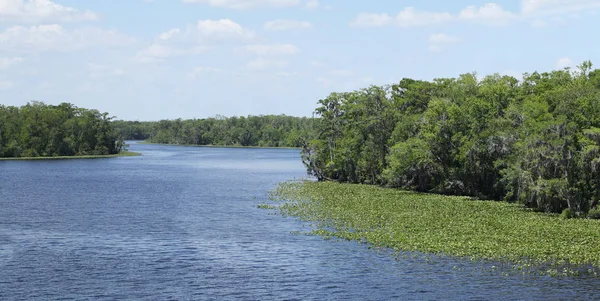 Rio Black Creek Condado Florida Clay — Fotografia de Stock