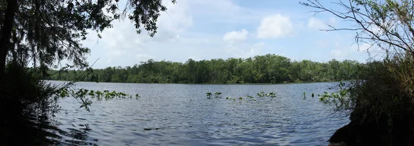 Black Creek Řeka Florida Clay County — Stock fotografie