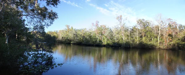 Μαύρη Creek Ποταμός Στη Φλόριντα Clay County — Φωτογραφία Αρχείου