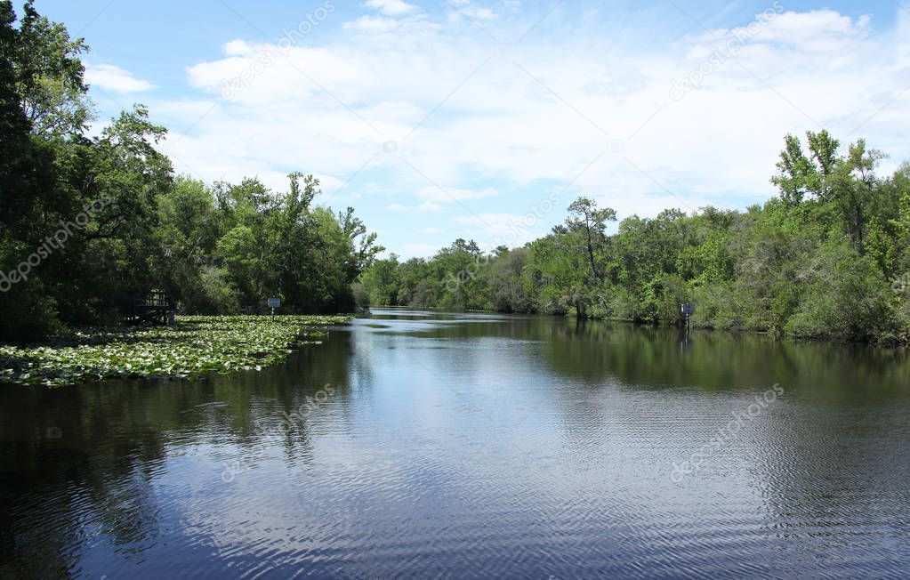 Black Creek river in Florida Clay county