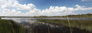 Kuzey Florida bataklıklar görünümünü