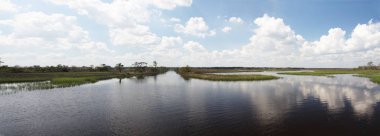 Kuzey Florida bataklıklar görünümünü