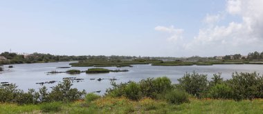 Kuzey Florida bataklıklar görünümünü