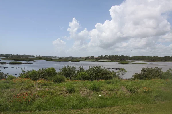 Pohled Bažin Severní Florida — Stock fotografie