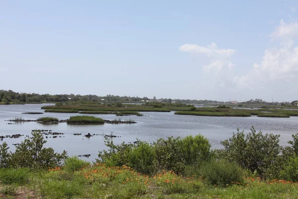 Vista Las Marismas Del Norte Florida —  Fotos de Stock