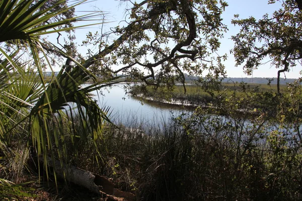 Vista Las Marismas Del Norte Florida — Foto de Stock