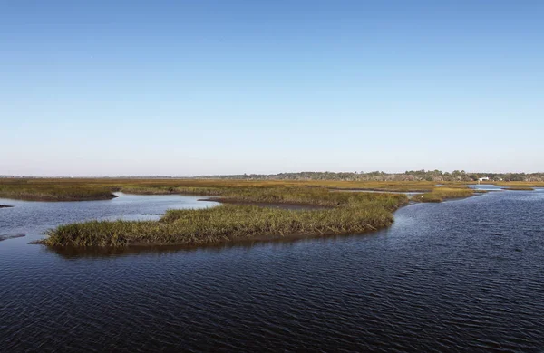 佛罗里达州北部的沼泽的看法 — 图库照片