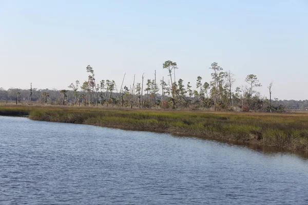 Vista Las Marismas Del Norte Florida —  Fotos de Stock