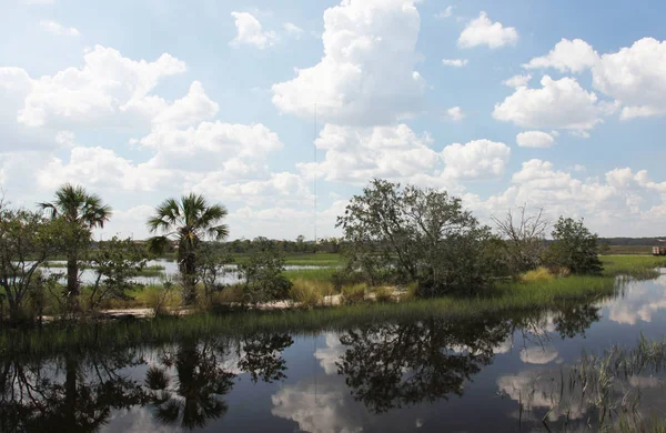 Kuzey Florida Bataklıklar Görünümünü — Stok fotoğraf