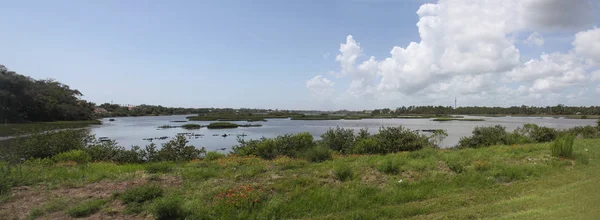 Vista Dos Pântanos Norte Flórida — Fotografia de Stock