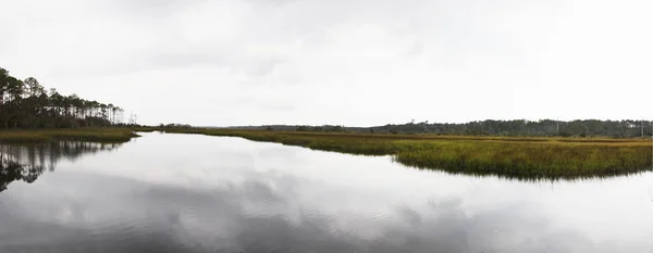 Pohled Bažin Severní Florida — Stock fotografie