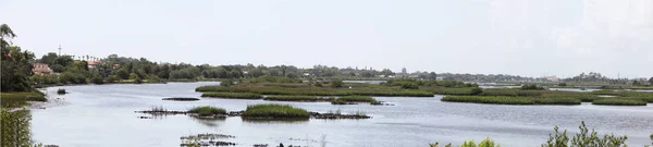 Vista Dos Pântanos Norte Flórida — Fotografia de Stock