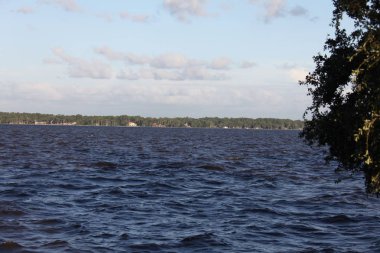 Florida St. Johns Nehri