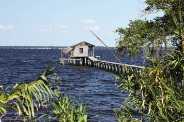 Florida St. Johns Nehri