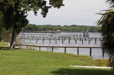 Florida St. Johns Nehri