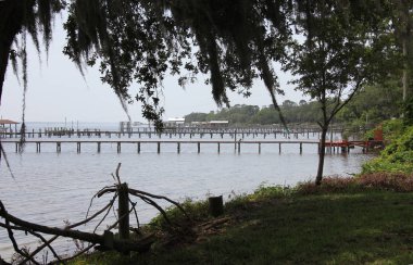 Florida St. Johns Nehri