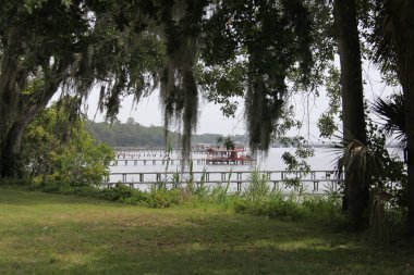 Florida St. Johns Nehri