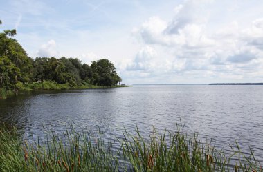 Florida St. Johns Nehri